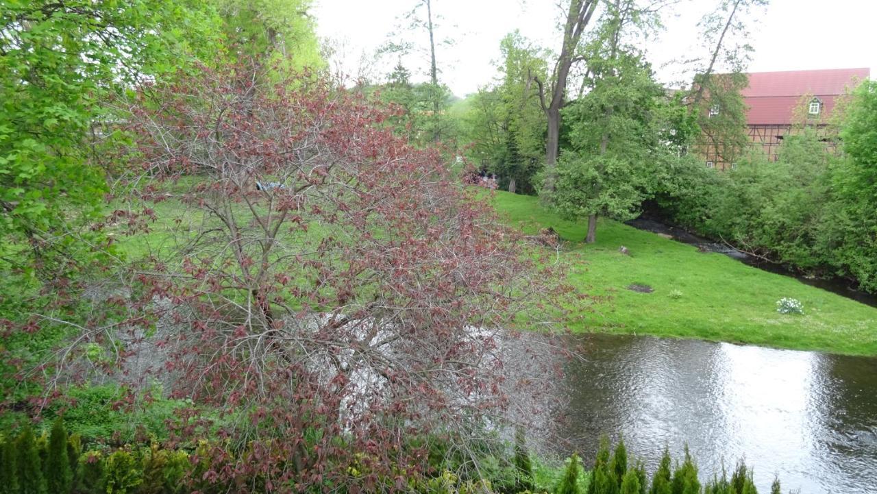 Villa An Der Bode ثال المظهر الخارجي الصورة